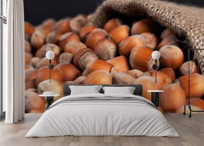 hazelnuts Wall mural