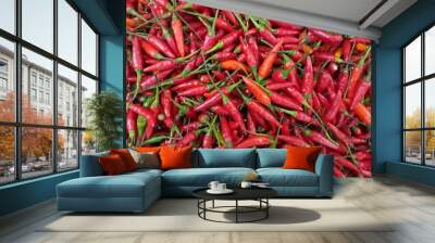 Cayenne pepper : many, full screen, backgrounds and textures.Cayenne pepper is a variety of Capsicum annuum. Rich in vitamins A, B and C, in addition to calcium and potassium. Wall mural