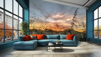 sunset in the field Wall mural