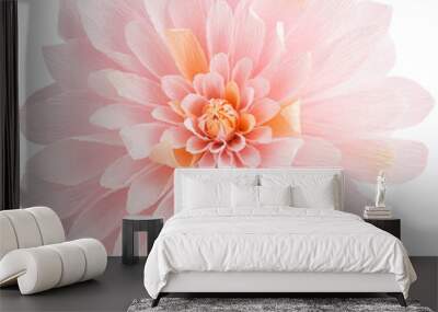 Isolated single paper flower dahlia made from crepe paper Wall mural