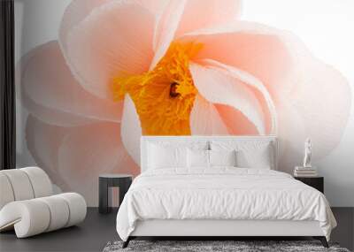 Isolated single paper flower peony made from crepe paper Wall mural