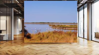 Comacchio, flamingo Wall mural