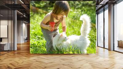 Kid playing with a cat Wall mural