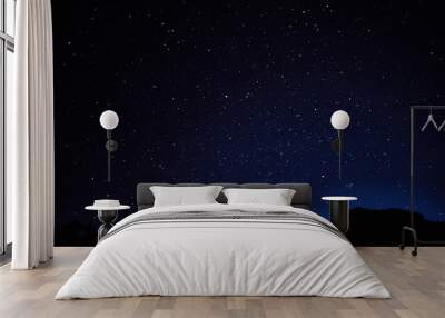 Blue Night Wall mural