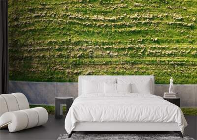 green grass field Wall mural