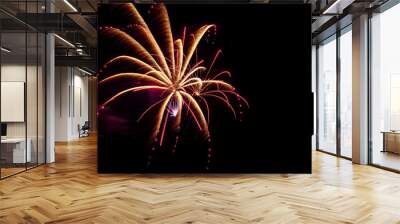 Summer Fireworks Celebration  Wall mural