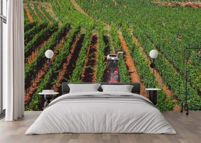 The theme of agrarian and winemaking in Europe. A red tractor processes a grape field on a sunny day on a mountainside. Organic wine production, modern farming in western Europe Wall mural