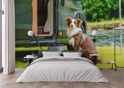 trip with pet. happy brown dog border collie travel by car. border collie dog sitting near car campi Wall mural