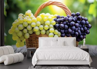 Ripe black and white grapes fill a basket, marking the season's harvest. Organically grown grapes rest on a wooden table in the garden. Wall mural