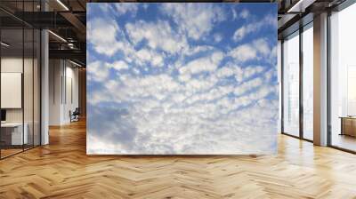 Broad blue sky with beautiful soft white clouds in sunny weather. Outdoor nature landscape background concept. Wall mural