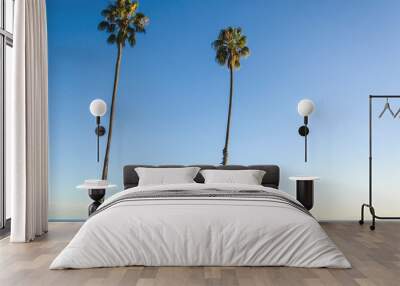 California high palms on the beach, blue sky background Wall mural