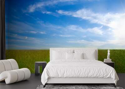 Meadow background Wall mural