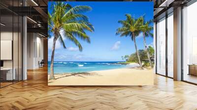 Palm trees on the sandy beach in Hawaii Wall mural