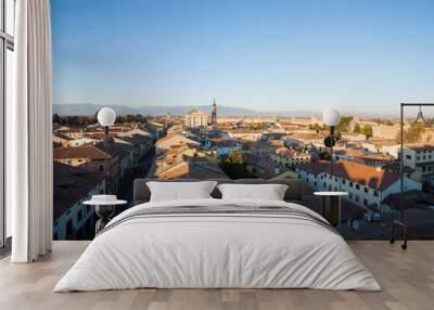 View of Cittadella, walled city in Italy Wall mural