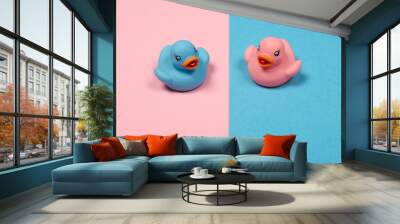 Pink and blue duckling on pink and blue background  as a traditional sign for boy or girl as a concept for traditional gender seperation Wall mural