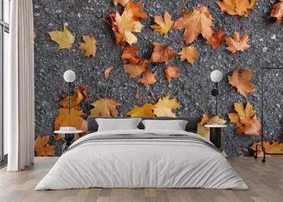 Women's feet in blue shoes in colorful autumn leaves Wall mural