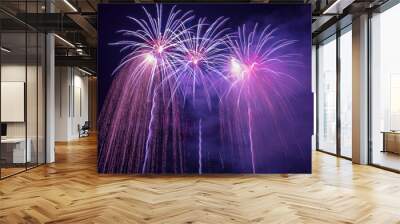 Purple Fireworks Lighting Up The Belfast Night Sky Wall mural