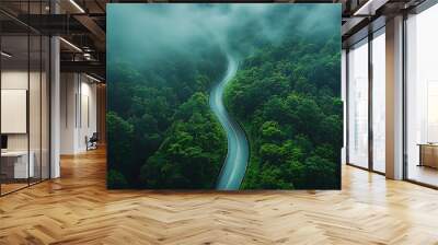 Aerial top view of a winding mountain road surrounded by a dark green forest, mountain, road, forest Wall mural