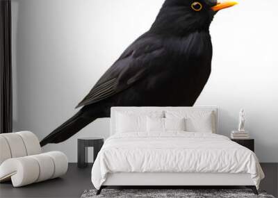 Illustration of a blackbird against a white background. Isolated bird with black plumage.
 Wall mural