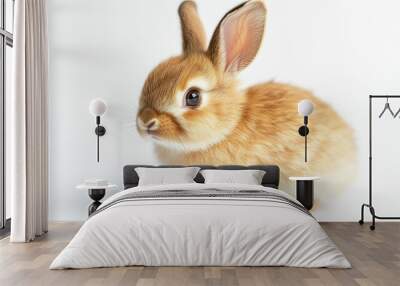 A little brown rabbit is sitting on something white. Wall mural