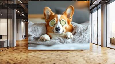 Cute red and white corgi lays on the bed with eye mask from real cucumber chips. Head on the pillow, covered by blanket, paw up. --ar 16:9 --v 6.1 Job ID: 5d26e419-dd83-44b4-a9eb-741f18f5fc7d Wall mural