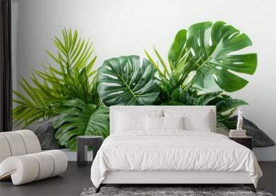 A collection of vibrant tropical plants is artfully positioned among natural rocks, creating a striking contrast against a pristine white background, enhancing the botanical aesthetic Wall mural