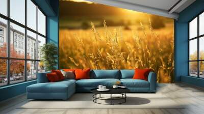 A field of tall grass bathed in warm sunbeams from the setting sun, creating a serene and picturesque landscape Wall mural