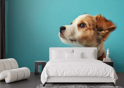 A cute puppy looks up with big, curious eyes against a blue background. Wall mural