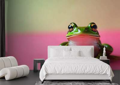 A green frog sitting on a pink and green background. Wall mural