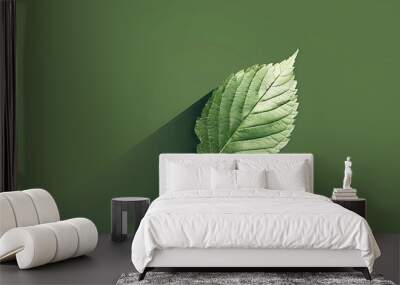 A single green leaf with a long shadow on a green background. Wall mural