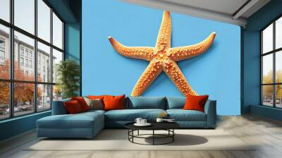 Single starfish on a light blue background. Wall mural