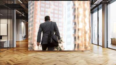 Business man walking to work, motivational conceptual perspective from behind with buildings and copy space Wall mural