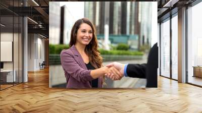 Handsome businessman attorney greeting new employee team colleague client handshake Wall mural