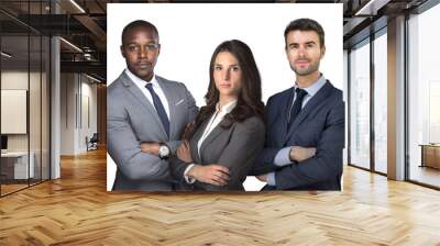 Isolated group on white, business men and women with arms folded looking confident strong, attorneys at law Wall mural