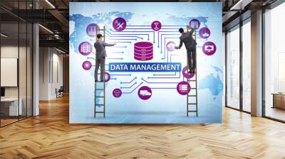 Businessman in data management concept Wall mural