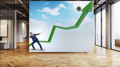 Businessman supporting economic growth by pulling rope  Wall mural