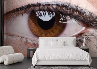 Close up of woman eye Wall mural