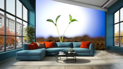 Green seedlings in new life concept Wall mural