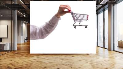 Hand holding shopping cart isolated on white Wall mural