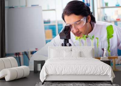 Male biotechnology scientist chemist working in the lab Wall mural