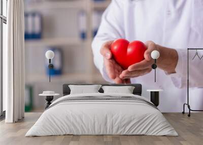 Male doctor cardiologist holding heart model  Wall mural