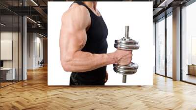 Man with dumbbells isolated on white Wall mural