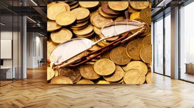 Many coins and reading glasses as business concept Wall mural