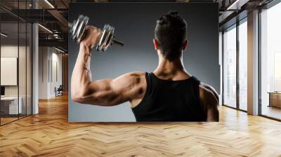 Muscular ripped bodybuilder with dumbbells Wall mural