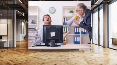 Old boss and young male employee in the office Wall mural