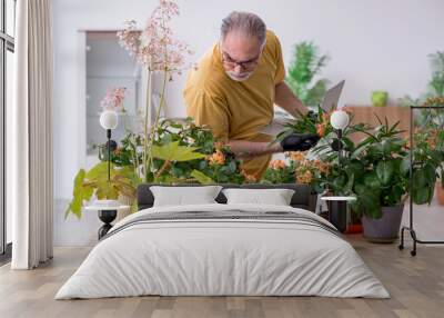 Old male gardener with plants indoors Wall mural