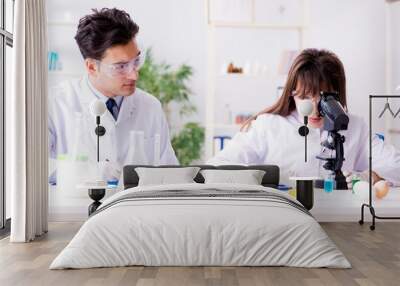 two lab doctor testing food products Wall mural