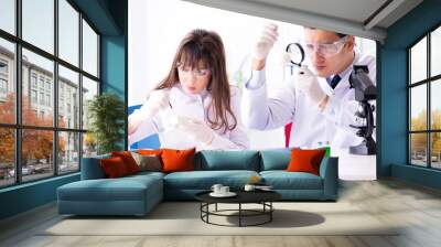 two lab doctor testing food products Wall mural