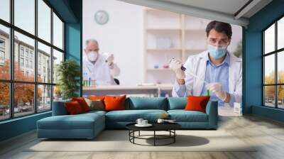 Two male chemists working at the lab during pandemic Wall mural