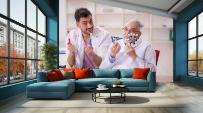 Two male chemists working at the lab Wall mural